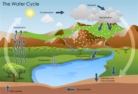 water cycle battle creek area clean water partnership