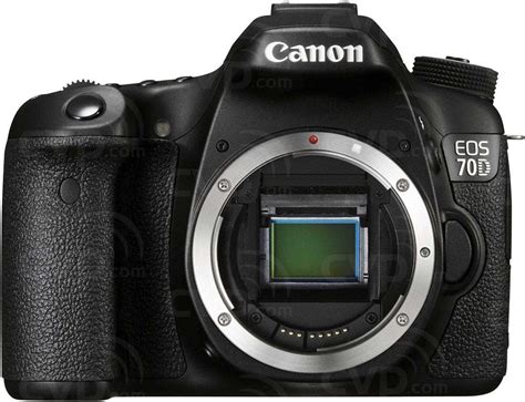 buy canon eos  mp digital slr camera   digic  image processor  full hd video
