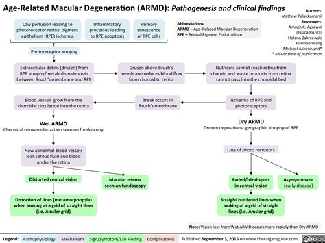 age related macular degeneration pathogenesis  grepmed