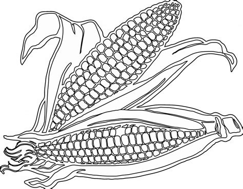 corn    coloring page unique corn drawing image  getdrawings