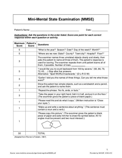 mini mental state examination