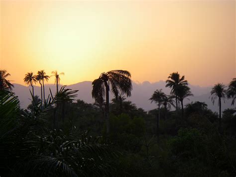 Contemplate The Rich Landscape Of Sierra Leone This