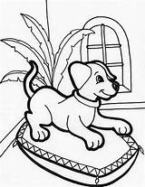 Coloring Puppy Pages Baby Printable Popular Coloringhome Adults sketch template