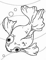 Fish Coloring Pages Printable Kids sketch template
