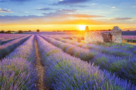 provence travel guide expert picks   vacation fodors travel