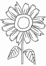Sunflower Coloring Clipart Pages Clip Sunflowers Flower Color Drawing Adults Kids Printable Diagram Unlabeled Simple Cliparts Sunny Smile Sun Clipartfest sketch template