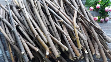 wood sticks set   pcs  long branch bundle rustic etsy