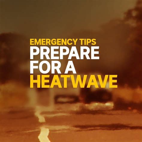 Abc Sydney Who Should You Look After First In A Heatwave Abc Emergency