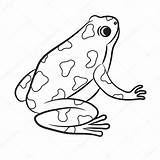 Frog Dart Poison Coloring Drawing Cartoon Jungle Vector Book Frogs Outline Stock Illustration Animals Clipartmag Leaves Getdrawings Choose Board sketch template