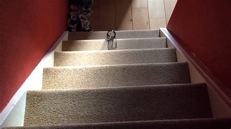 Slinky Down The Stairs In Slow Motion Youtube