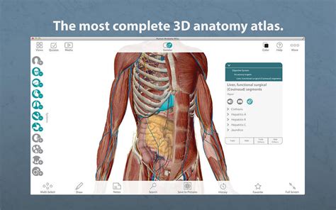 Human Anatomy Atlas 7 4 01 Download Mac Os