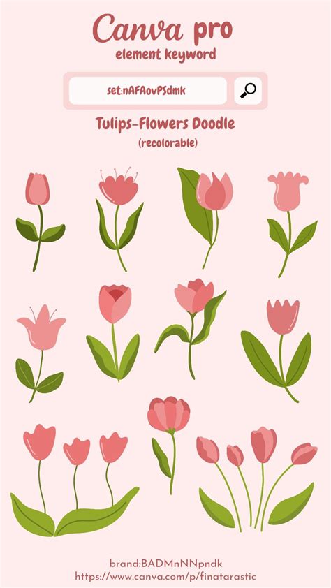 tulips flowers doodle canva element keyword   canvas learning