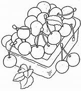 Groente Cherries Animaatjes sketch template