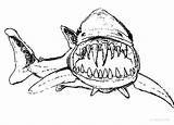 Shark Coloring Pages Outline Teeth Jaws Sharp Template Great Hideous Long Color Printable Drawing Sharky Find Getdrawings Place Divyajanani sketch template
