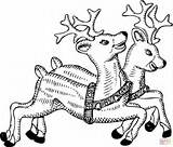 Coloring Santa Pages Reindeers Claus Printable Drawing sketch template