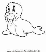 Robbe Robben Tiere Malvorlagen Dein Auszudrucken Klicke Hier Kostenlose sketch template