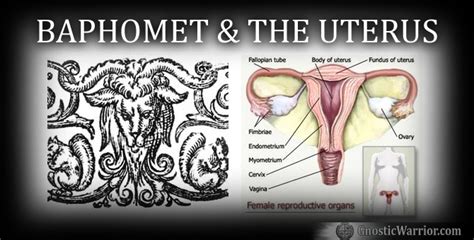 baphomet and the uterus gnostic warrior by moe bedard