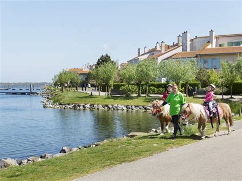 center parcs port zelande der ferienpark bei renesse  zeeland