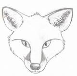 Fox Head Realistic Sketch Drawing Draw Drawings Cute Foxes Heads Sketches Deviantart Pencil Animal Pages Choose Board Clipart Random Wolf sketch template