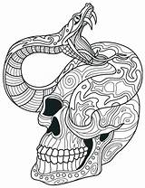 Snake Skull Coloring Pages Printable Adult Skulls Girl Categories sketch template