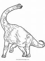Brachiosaurus Malvorlage Dinosaurier Ausmalen Ausmalbild Dinosaur sketch template