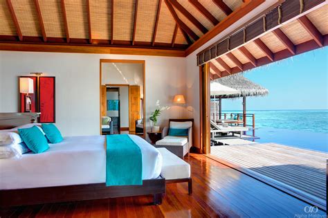 maldives     popular honeymoon destination alpha
