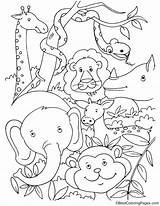 Animals Rainforest Tropical Coloring Pages Kids sketch template
