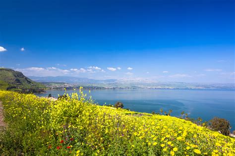 galilee  wonderful place  visit  israel aufgang travel