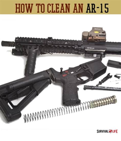 disassemble  clean  ar  survival life