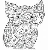 Calming Colouring Pig Zen Colorear Kleurplaten sketch template