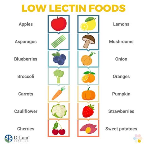 vegetables   lectins encycloall
