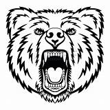 Grizzly Getcolorings sketch template