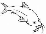 Catfish Coloring Pages Beuatiful Eyes Color sketch template