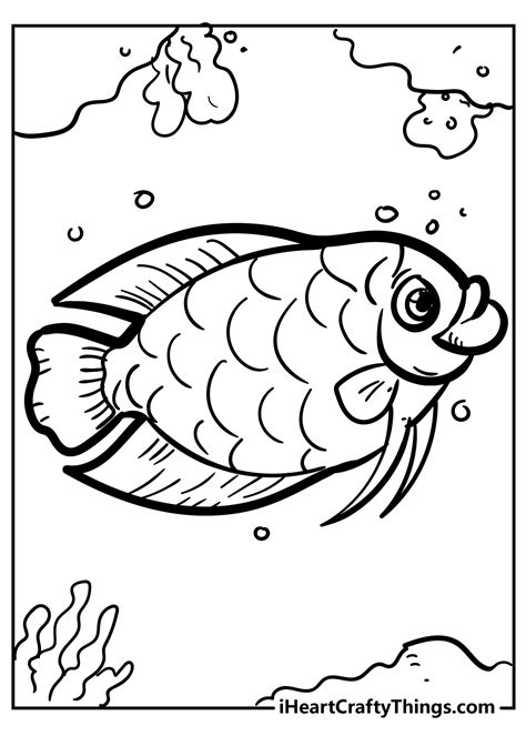 freshwater fish coloring pages  kids