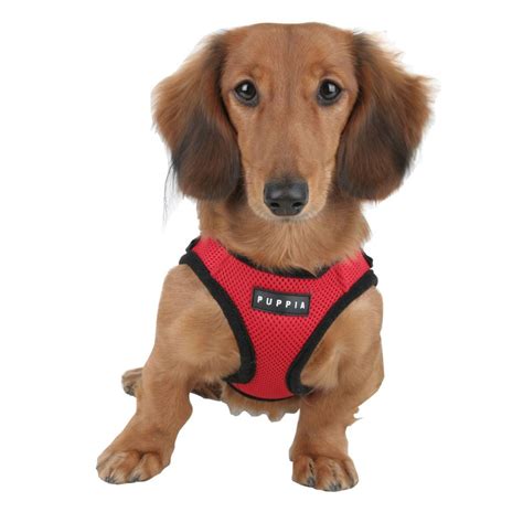 puppia hondentuig soft harness rood petsonline