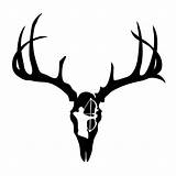Deer Skull Clipart Decal Tattoo Tine Bow Elk Hunting Designs Drop Drawing Antler Tribal Hunter Tattoos Silhouette Skulls Clip Logo sketch template