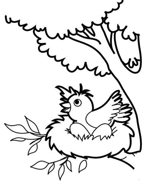 bird  eggs   nest coloring page