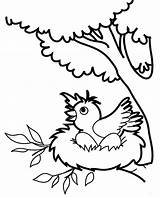 Bird Coloring Pages Color Nest Birds Tree Preschool Easy Print Draw Printable Eggs Topcoloringpages Cute Pdf sketch template