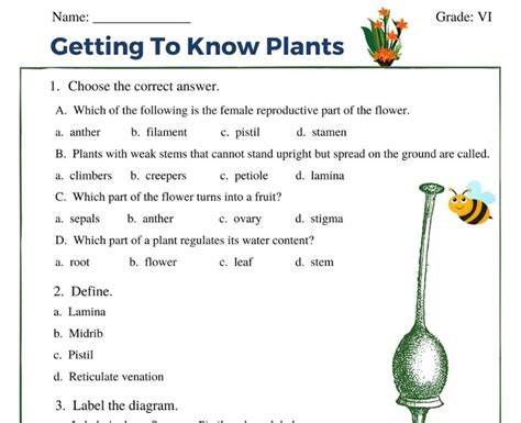 plants worksheets class cbse science  xxx hot girl
