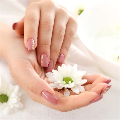 gallery nail salon  nails gallery spa  wax evansville