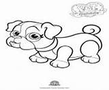 Parade Pet Bouledogue Dog Cute Coloring Pages Printable Online Info sketch template