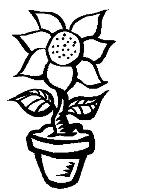 coloring pages printable sunflower coloring pages printable