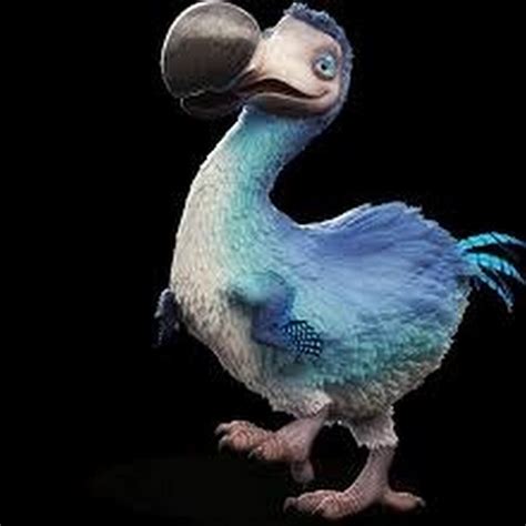dodo bird youtube