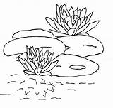 Lily Coloring Pages Pad Printable Water Pads Kids Clipart Lilypad Outline Flower Drawing Getdrawings Library Bestcoloringpagesforkids Popular Related Books sketch template