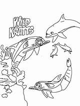 Kratts Kratt Hermanos Dolphins Tal Estés Buscando Dolphin sketch template