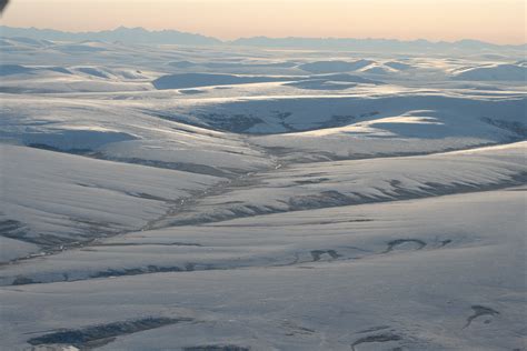 arctic tundra wallpapers wallpapersafaricom