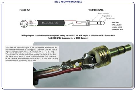 xlr  trs wiring diagram weaveist
