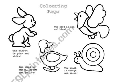 animals colouring page esl worksheet  angelafelicio