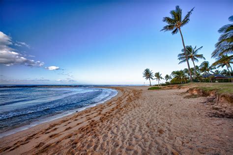 gorgeous beaches  hawaii   check