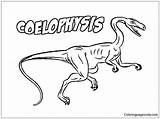 Coelophysis Pages Dinosaur Coloring Color Online Printable Dinosaurs sketch template